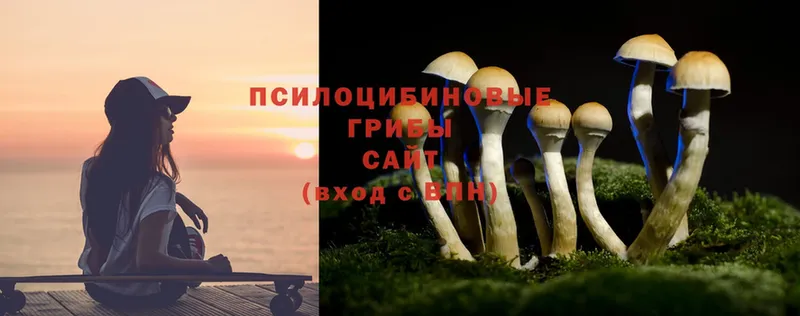 Галлюциногенные грибы Cubensis  Мирный 